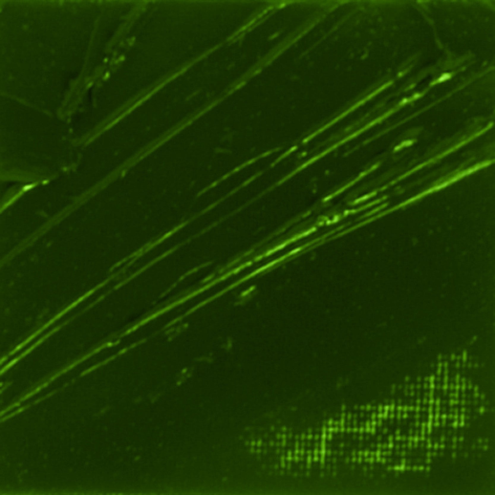 100699-tinta-oleo-xl-pebeo-37ml-044-terra-verde-616904
