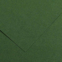VERDE AMAZONA