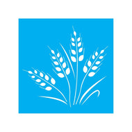 Stencil Opa 14x14cm - Trigo - 2025