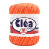 136585-fio-clea-circulo-tex151-151g-1000m-multicolor-9059-abobora-560923