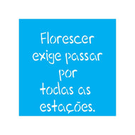 Stencil Opa 14x14cm - Frase Florescer - 2215