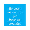 Stencil para Pintura Opa 14x14cm - 2215 Frase Florescer