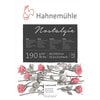 154719-bl-desenho-nostalgie-sketch-pad-190gr-a2-50fls-255590