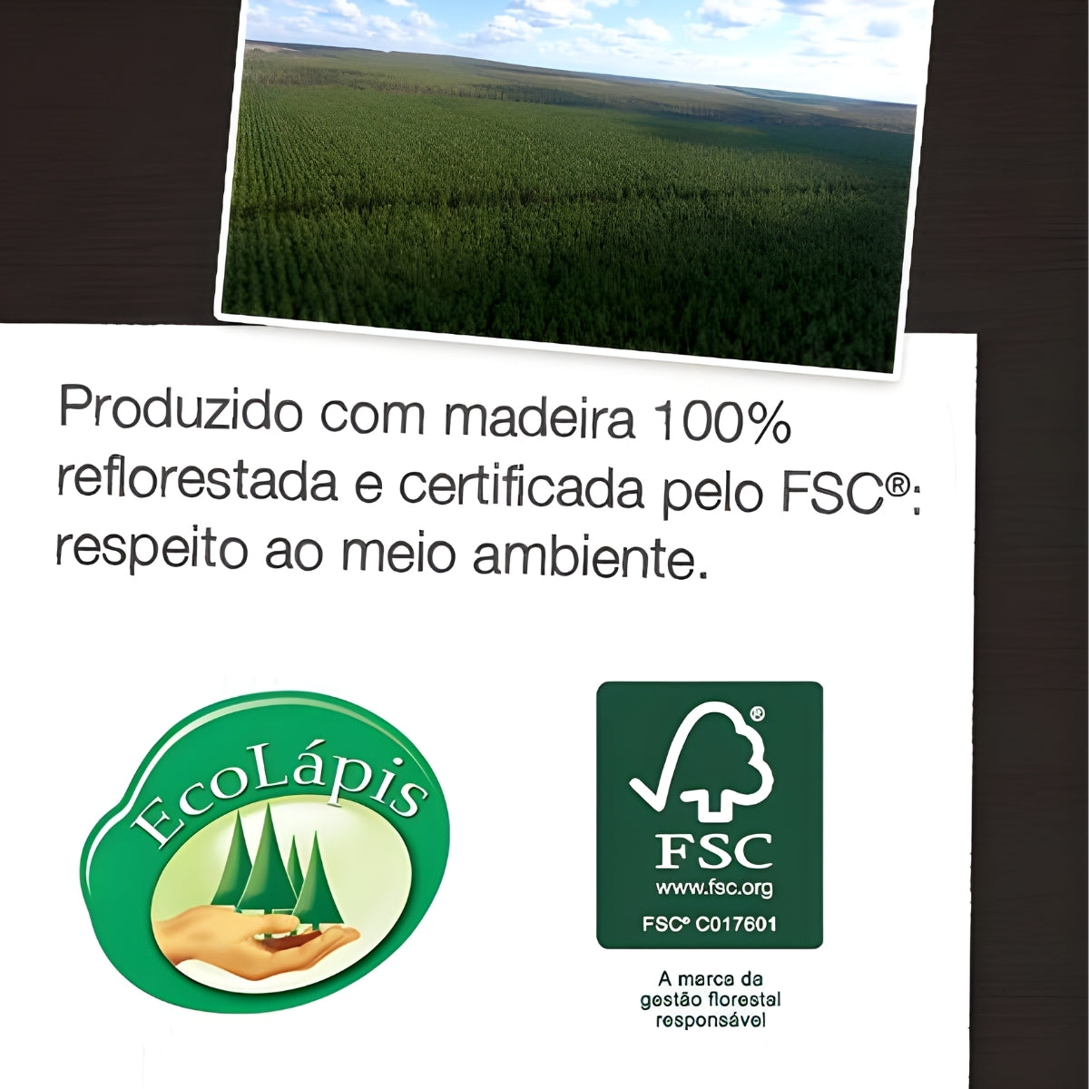 Lápis de Cor Ecolápis Supersoft Black - Faber-castell 907soft