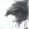 Blister Mina Grafite Caran D'ache 3.0Mm Hb com 6 Unidades