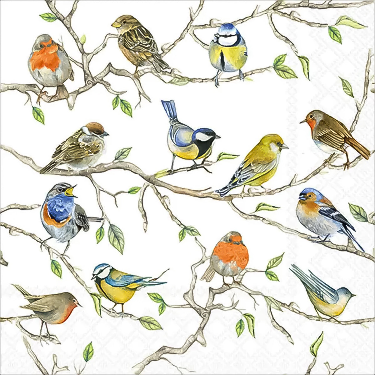 Guardanapo para Decoupage Ambiente 33x33cm com 20 Unidades - Pássaros
