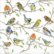 Guardanapo para Decoupage Ambiente 33x33cm com 20 Unidades - Pássaros
