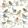 Guardanapo para Decoupage Ambiente 33x33cm com 20 Unidades - Pássaros