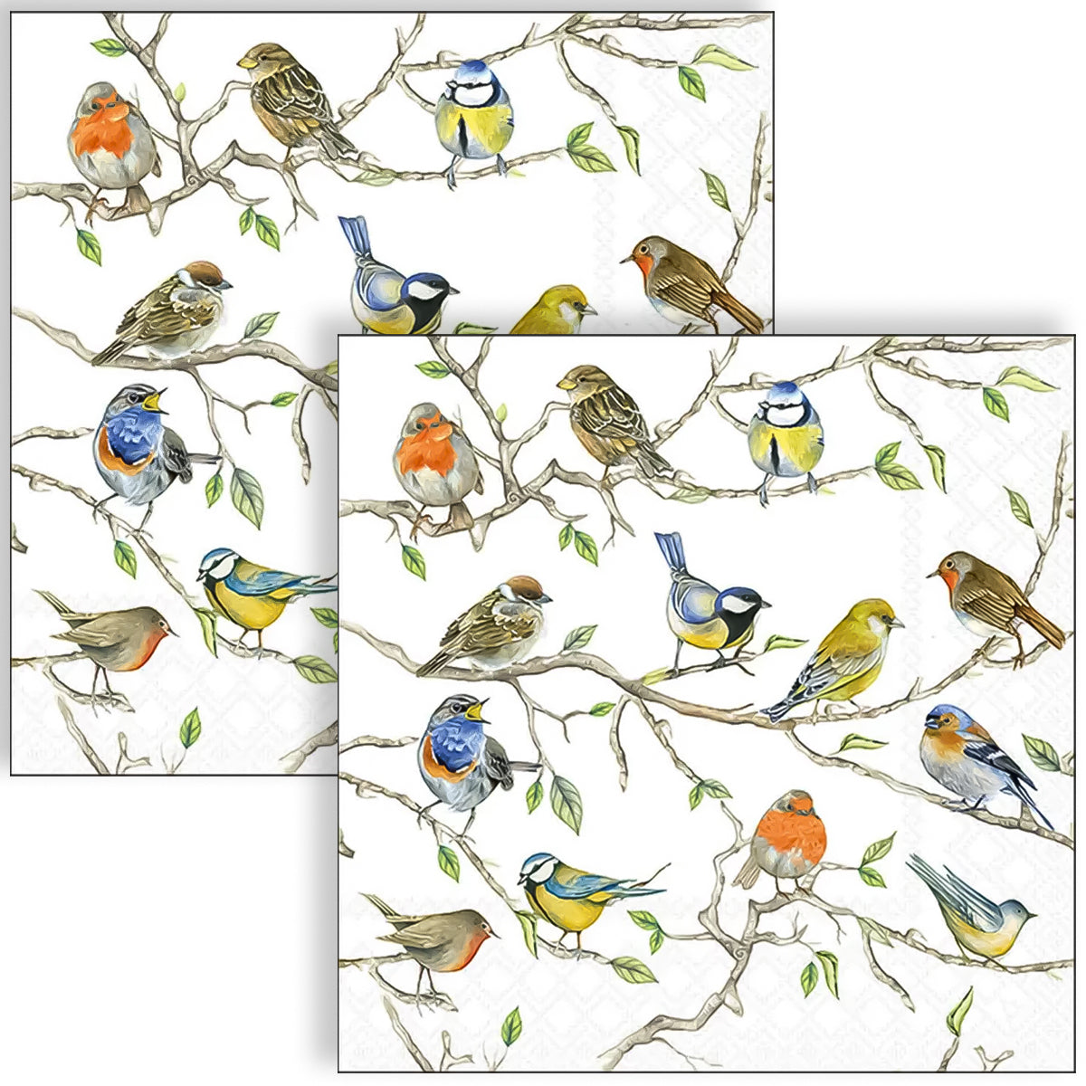 Guardanapo para Decoupage Ambiente 33x33cm com 20 Unidades - Pássaros