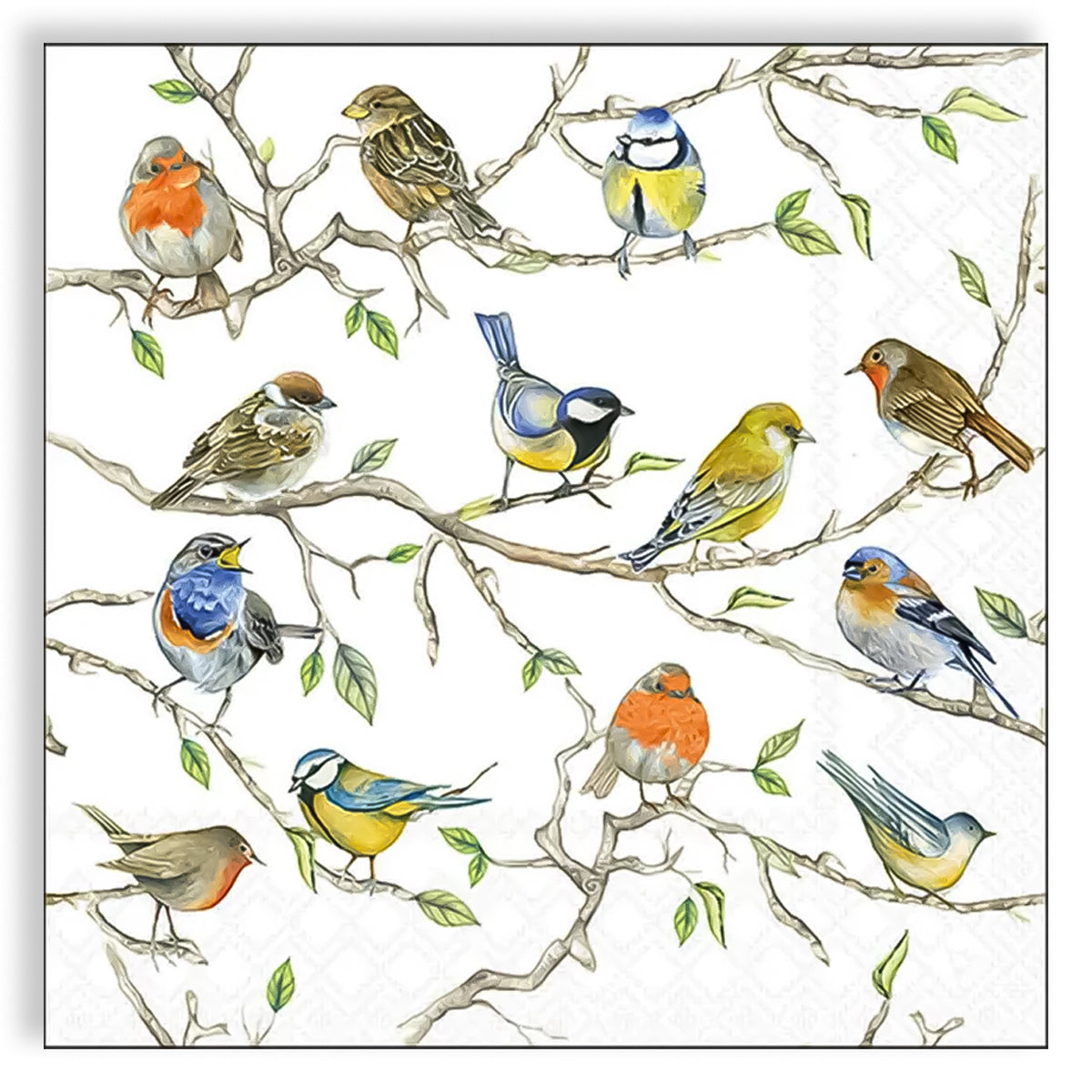 Guardanapo para Decoupage Ambiente 33x33cm com 20 Unidades - Pássaros