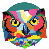 Kit de Pintura com Diamante 30x21cm - Coruja Guardiã