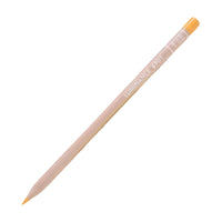 APRICOT 041