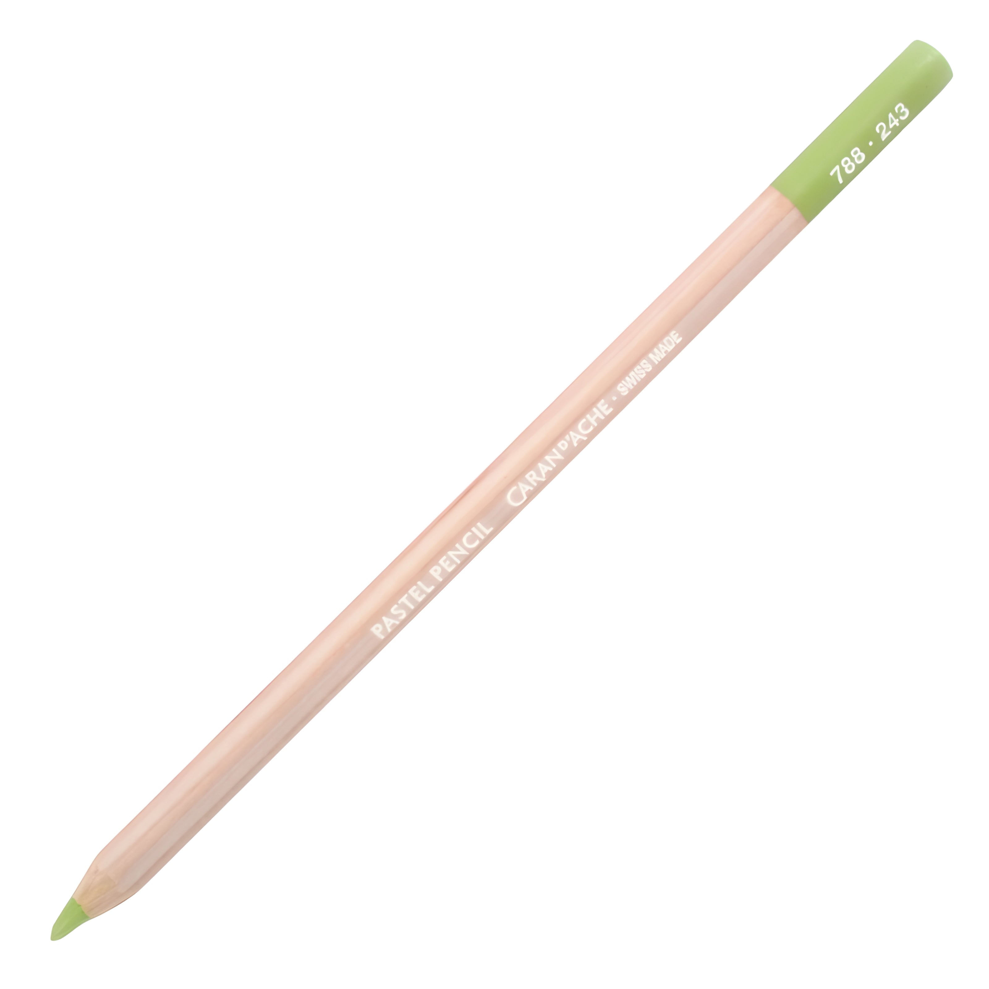 172710-lapis-de-cor-pastel-seco---243-light-olive-20-264739
