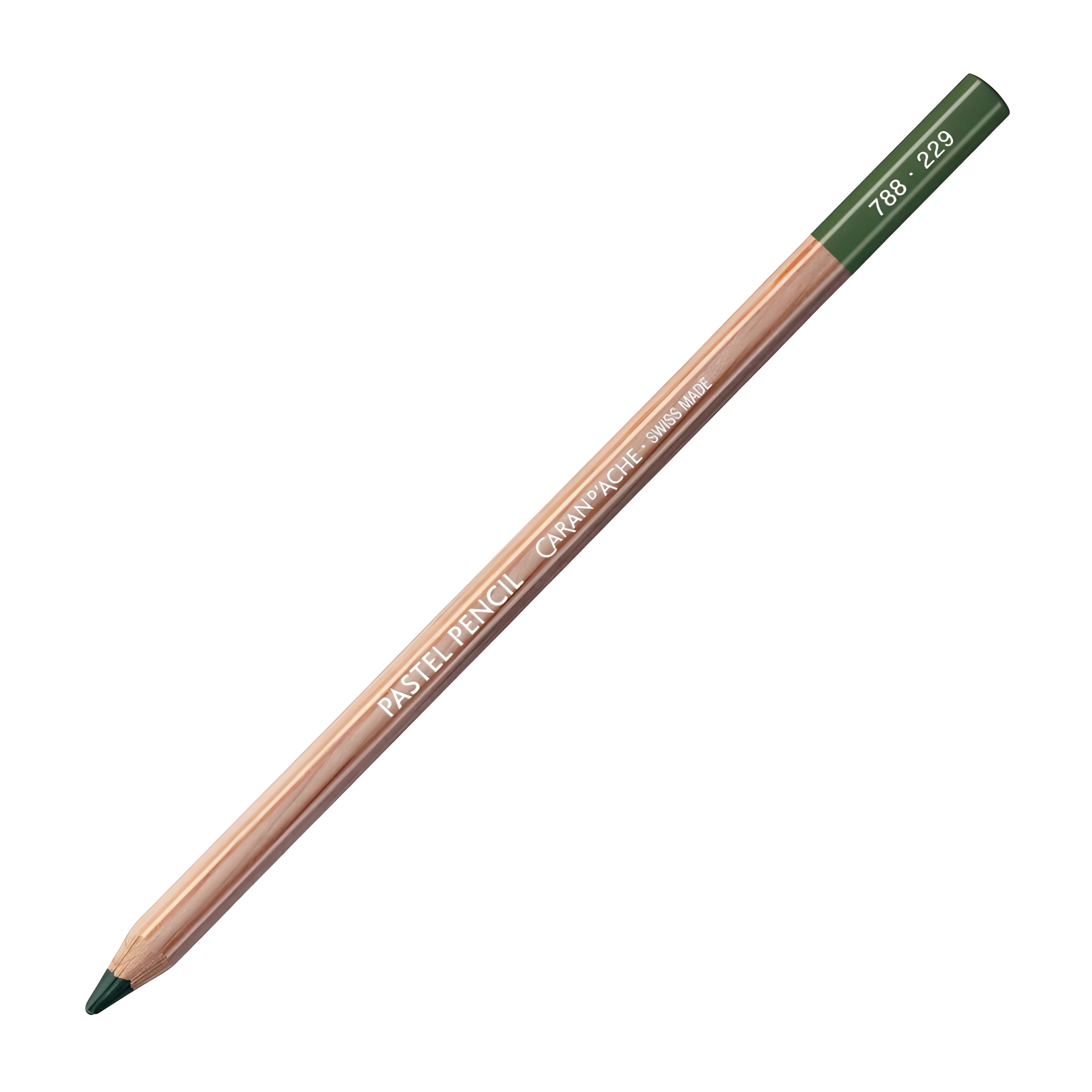 172754-lapis-de-cor-pastel-seco---229-dark-green-264709