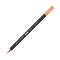 APRICOT 041