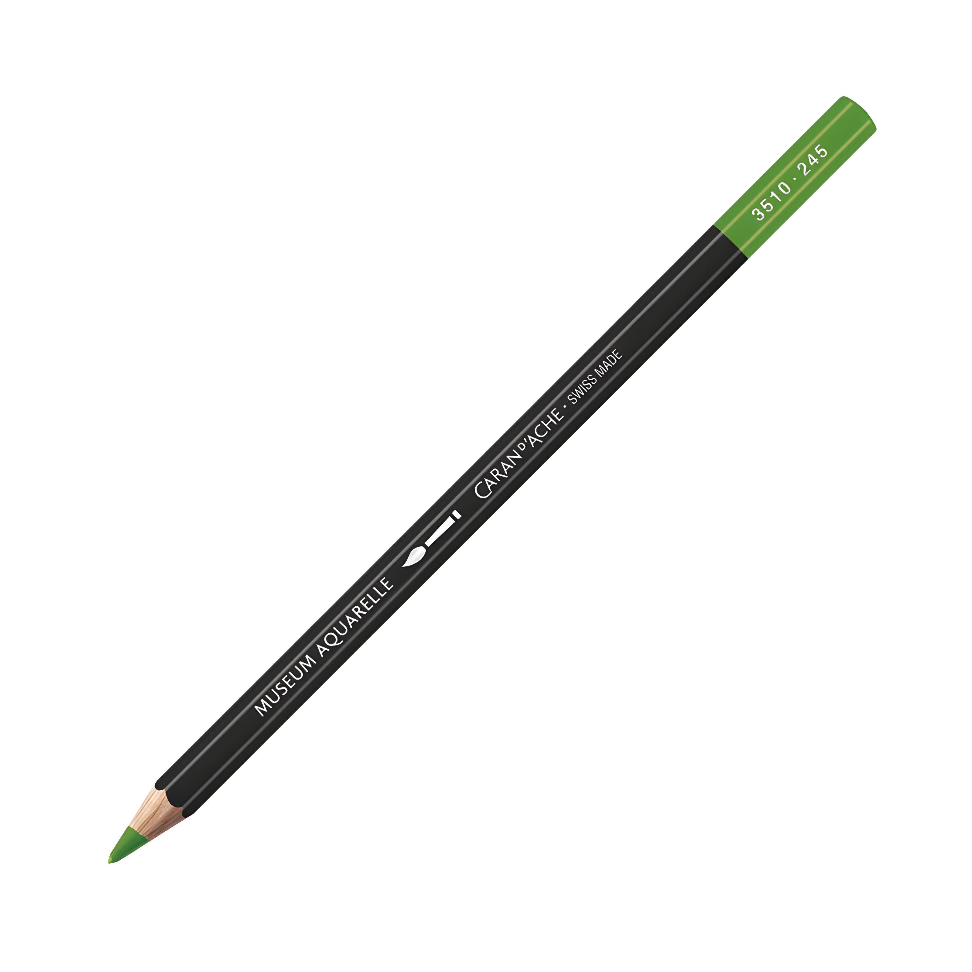 172790-lapis-de-cor-museum-aquarelavel---245-light-olive-273466