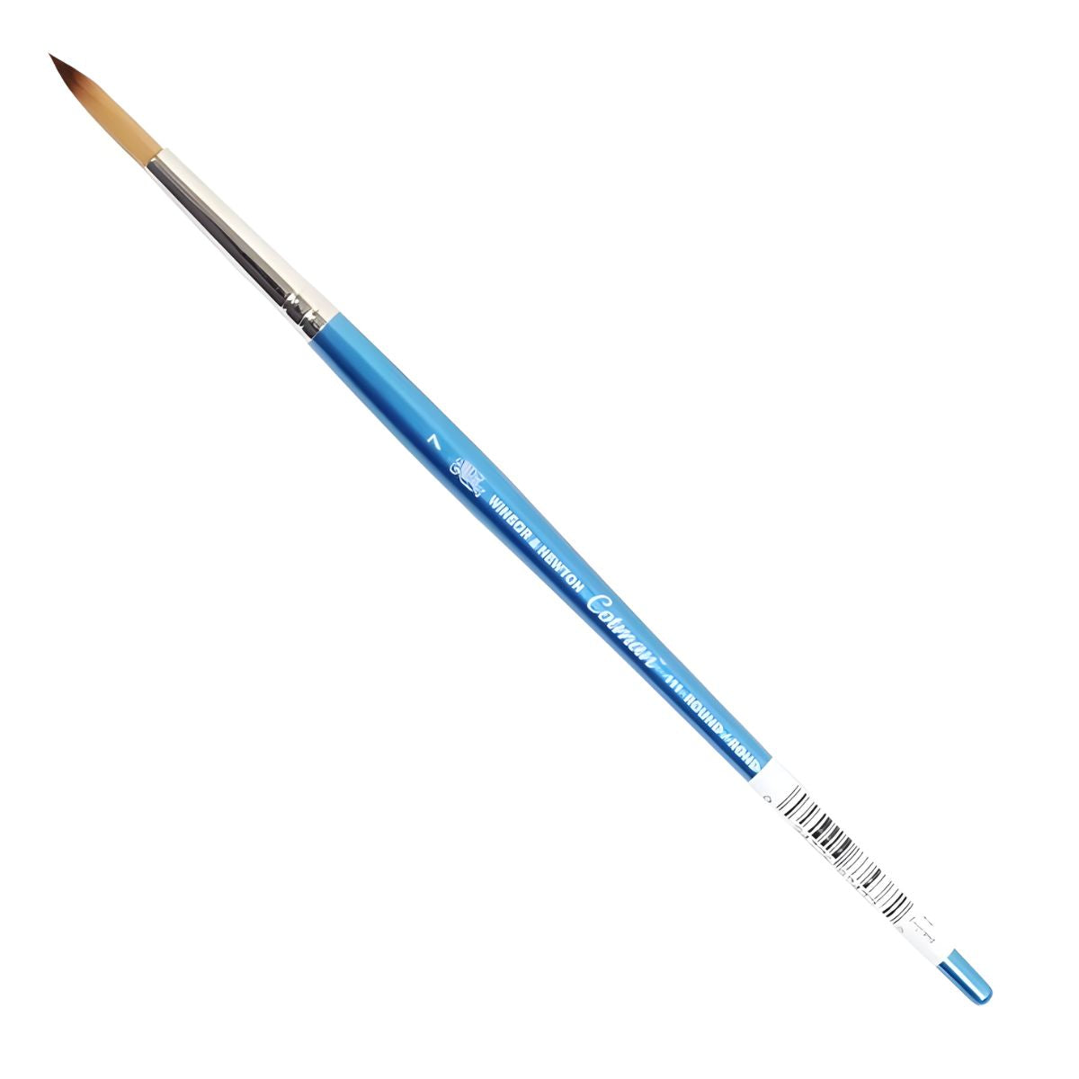 Pincel Cotman Winsor & Newton Redondo 111