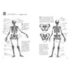 Livro Desenhando Anatomia - Caderno de Exercícios 1 - Criativo