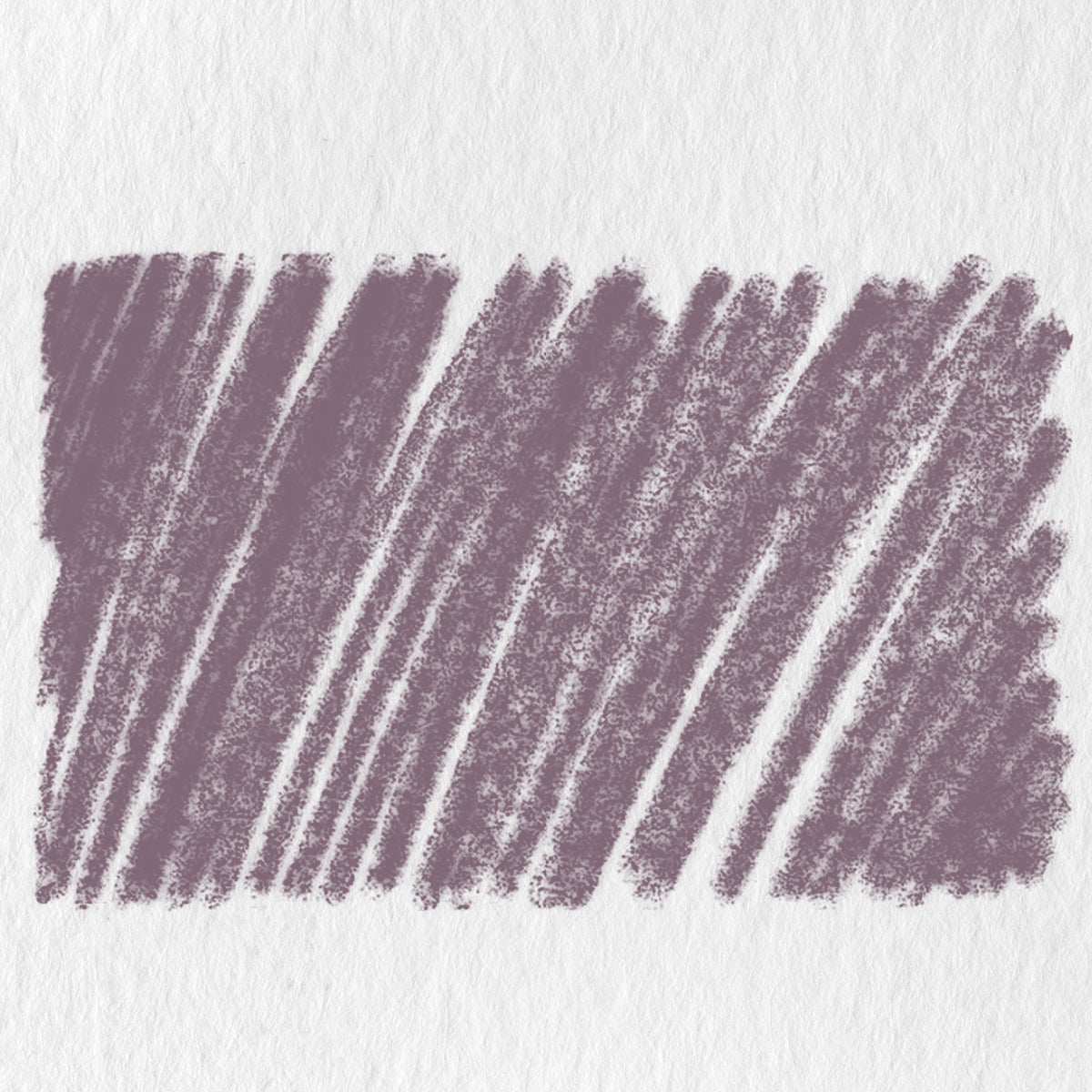 Lápis Carvão Vegetal para Papel Tinted Charcoal - Lavender - Derwent  