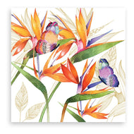 Guardanapo para Decoupage Ambiente 33x33cm com 20 Unidades - Parrot Flower