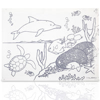 OCEANO GOLFINHO
