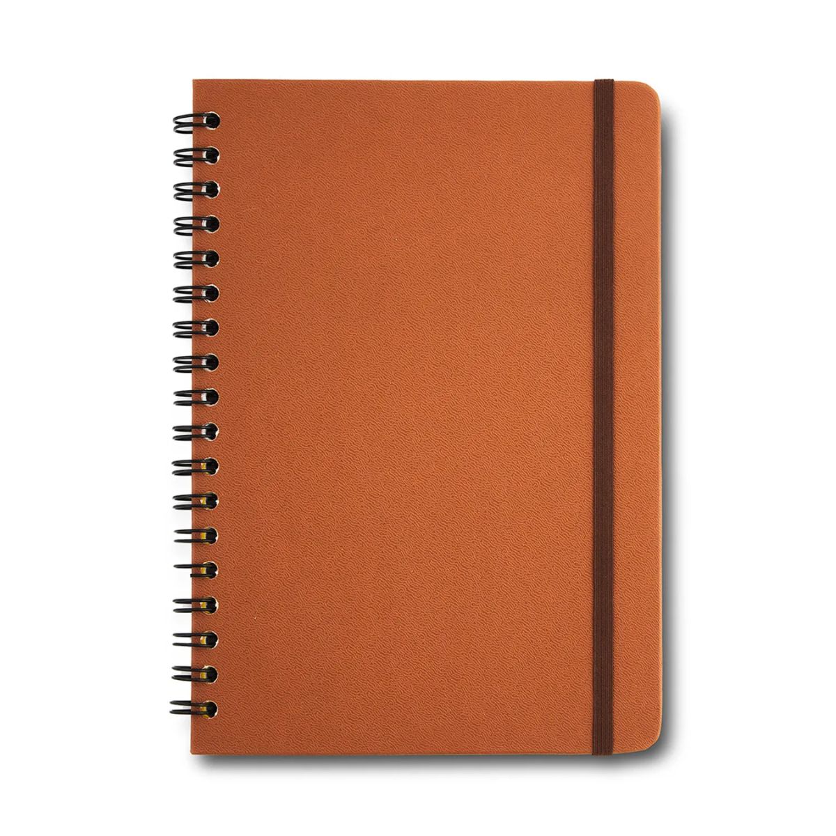 Caderno Colegial Espiral Cicero 17,3x24cm 80 Folhas Pautado - Clássica Caramelo