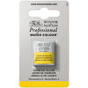 Tinta Aquarela Profissional Winsor & Newton Pastilha