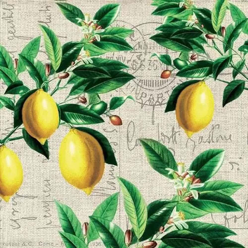 Guardanapo para Decoupage Paperdesign 33x33cm com 20 Unidades - Capri