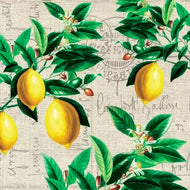 Guardanapo para Decoupage Paperdesign 33x33cm com 20 Unidades - Capri