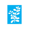 Stencil Opa 15x20cm - Plantas Jade - 3383
