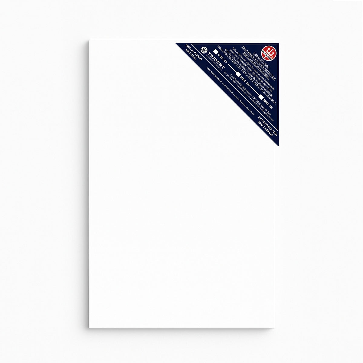 188524-tela-studio-sn-nacional-60x80x3,5-429938
