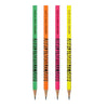 Kit 4 Lápis Grafite Grafik Fluor Hb + Borracha