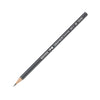 Lápis Grafite Caran D'ache Cinza Edelweiss 3b 