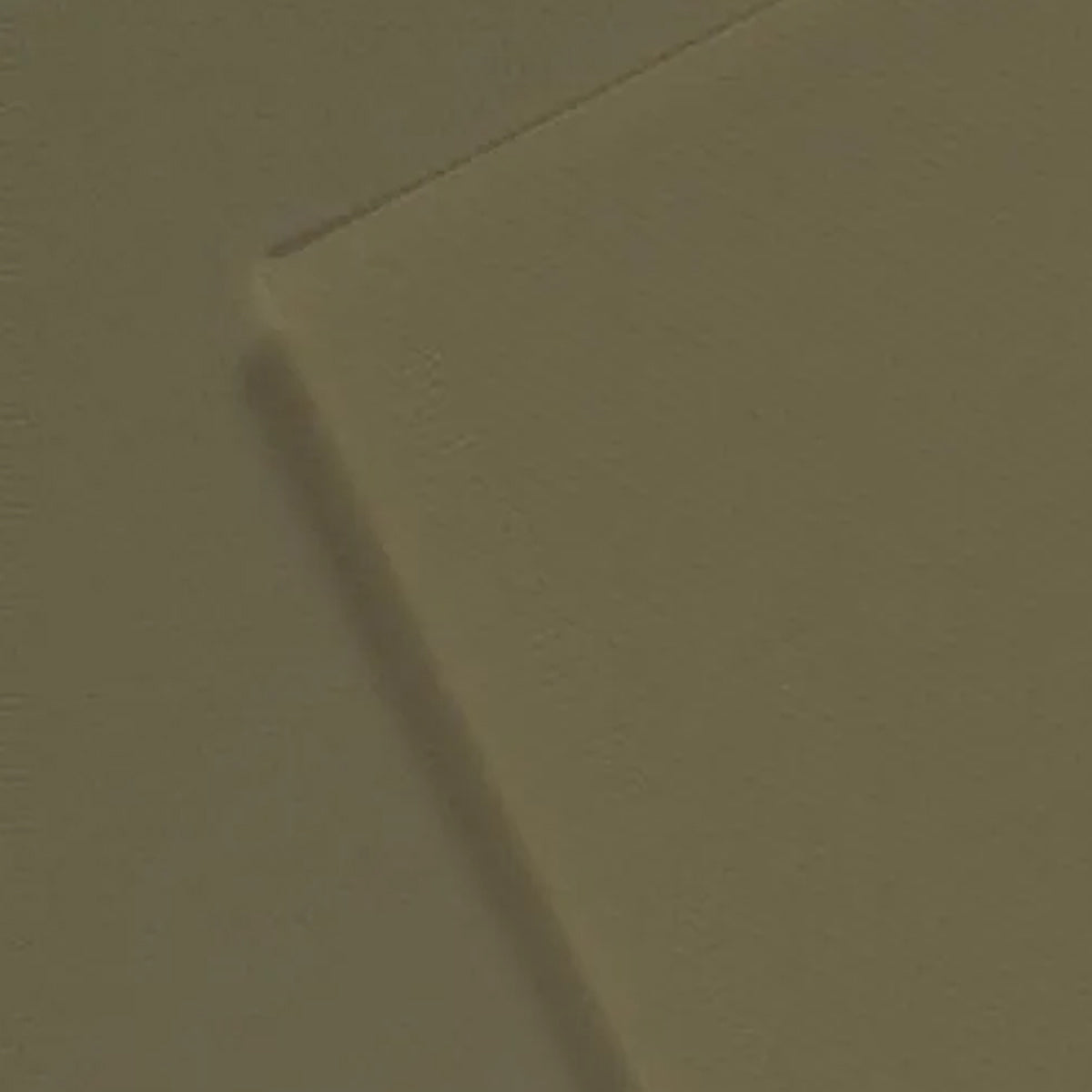 Papel Mi-teintes 50x65cm 160 G/m² Papel Artístico 191 - Verde Oliva