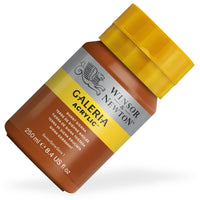 BURNT SIENNA 074