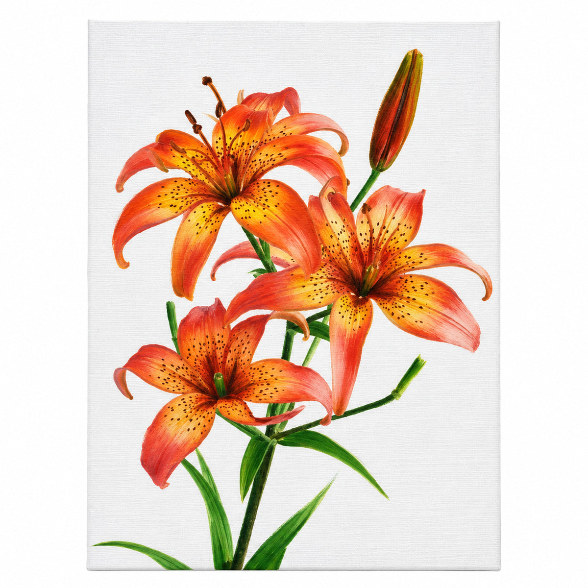 193517-tela-para-pintura-luarte-riscada-20x30cm-025-608907