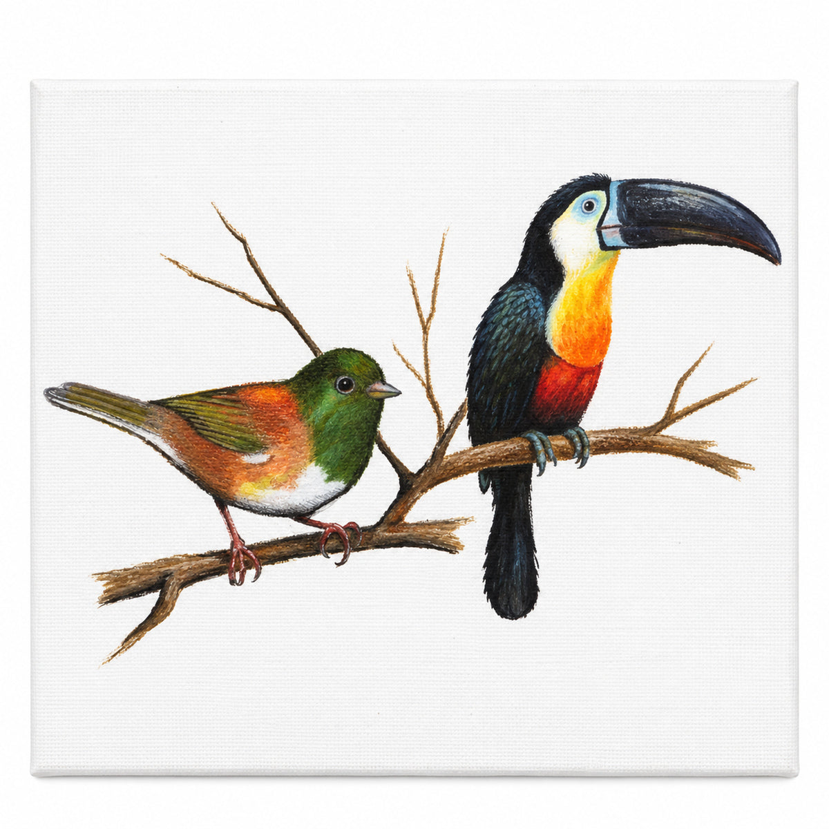 193519-tela-para-pintura-luarte-riscada-20x30cm-030-608919