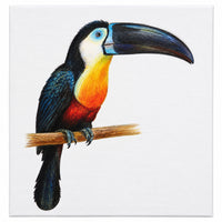 TUCANO 20X30CM