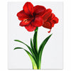 193542-tela-para-pintura-luarte-riscada-20x30cm-024-608904