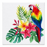 ARARA TROPICAL 40X50CM