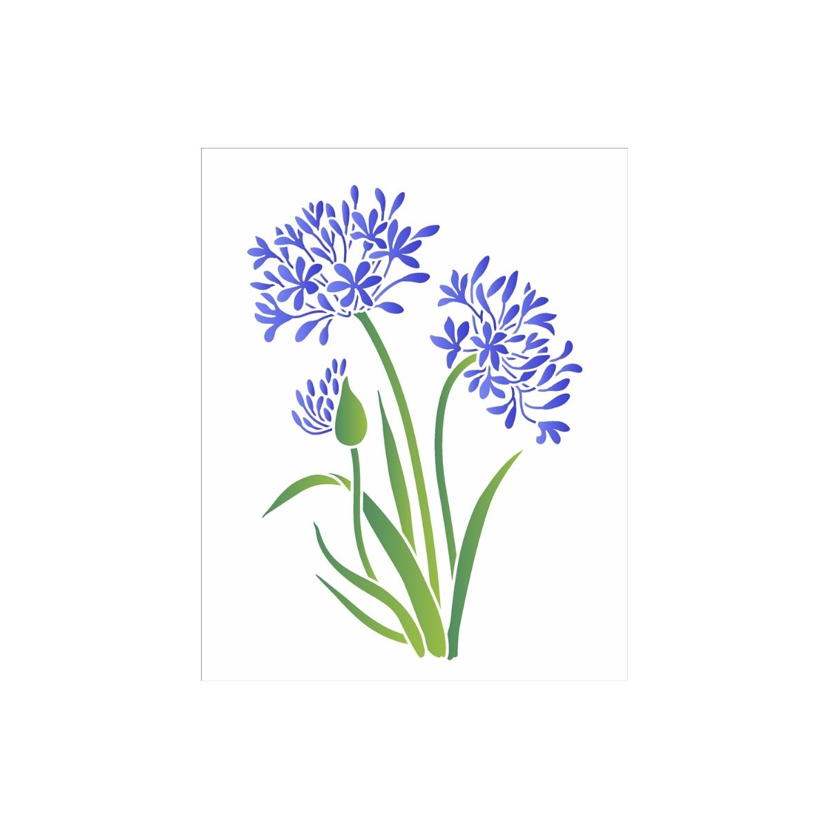 Stencil Opa 20x25cm - Flor Agapanthus - 3440