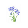 Stencil Opa 20x25cm - Flor Agapanthus - 3440