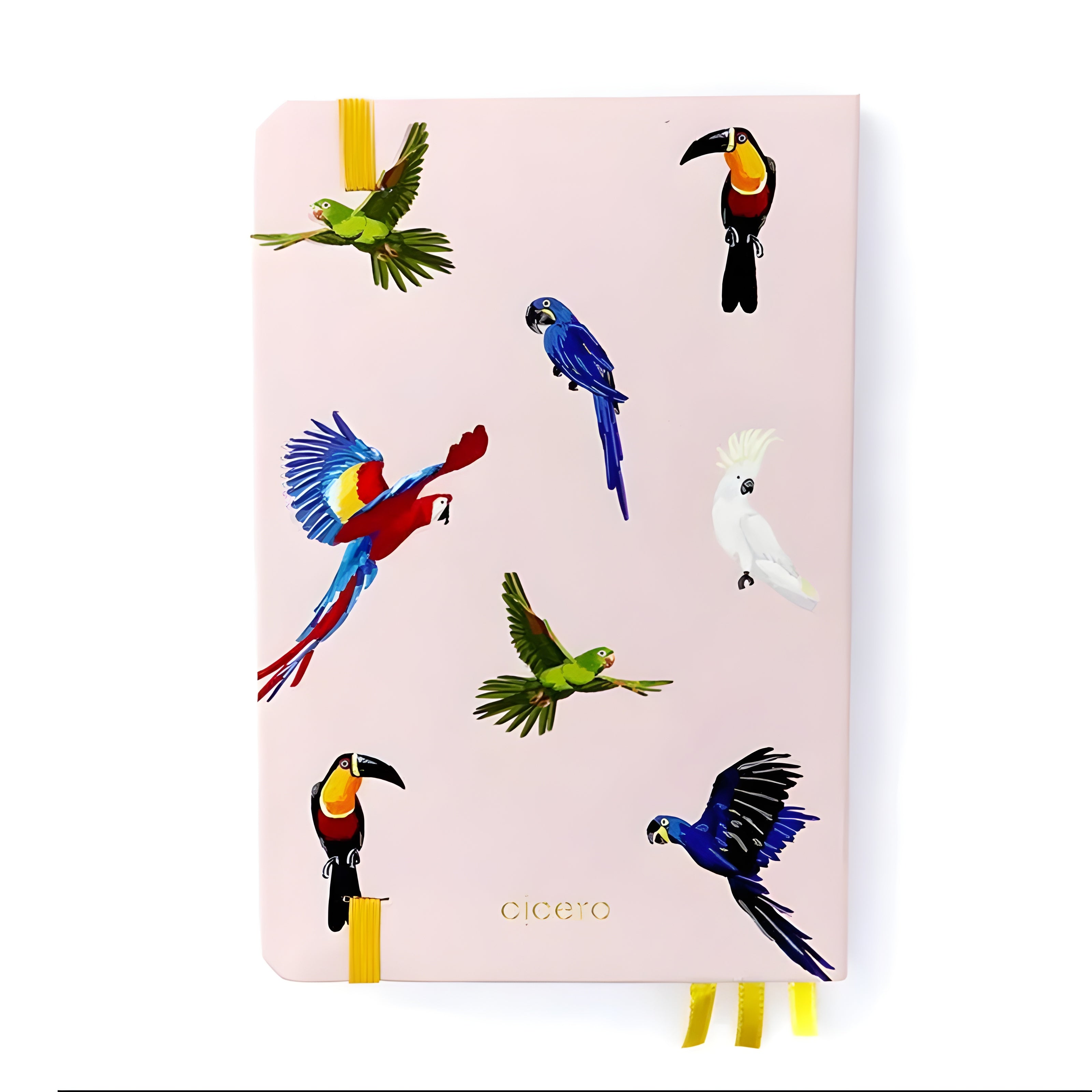 Caderneta Cicero Tri 14x21cm Espécies Rosa com Miolo sem Pauta, Pautado e Pontado