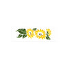 Stencil Opa 10x30cm - Flores Girassóis Ii - 3460