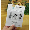 Cartela de Carimbos Galhos 2 em Fotopolímero para Artesanato e Scrapbook - Lilipop