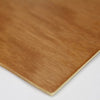 Paleta Trident para Pintura Retangular 23x31 Cm - Modelo 12410-rt