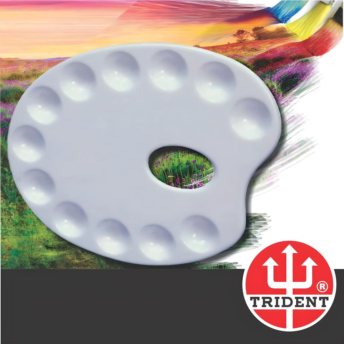 Paleta Trident Moldada em Poliestireno com 12 Cavidades 26x21 Cm - Modelo 12420