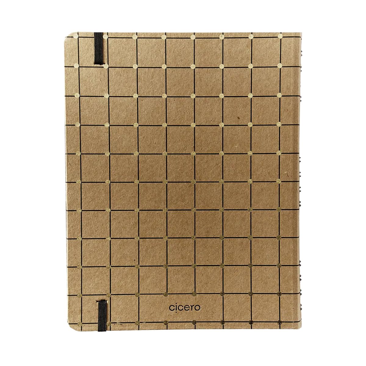Caderno Criativo Argolado Cicero 17x24cm 90 Folhas Duo Kraft Linha e Ponto Pautado e Pontado