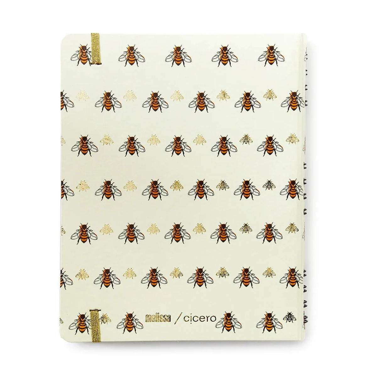 Caderno Criativo Argolado Cicero 17x24cm 90 Folhas Duo Melissa Favo de Abelhas Pautado e Pontado
