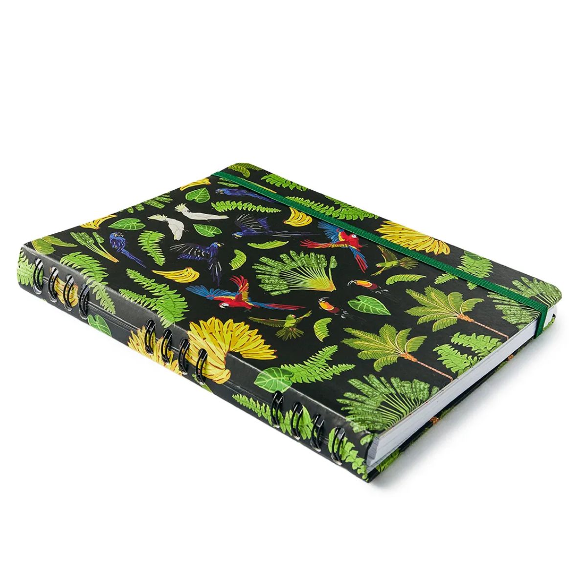 Caderno Criativo Argolado Cicero 17x24cm 90 Folhas Duo Pássaros Floresta Tropical Preto Pautado e Pontado